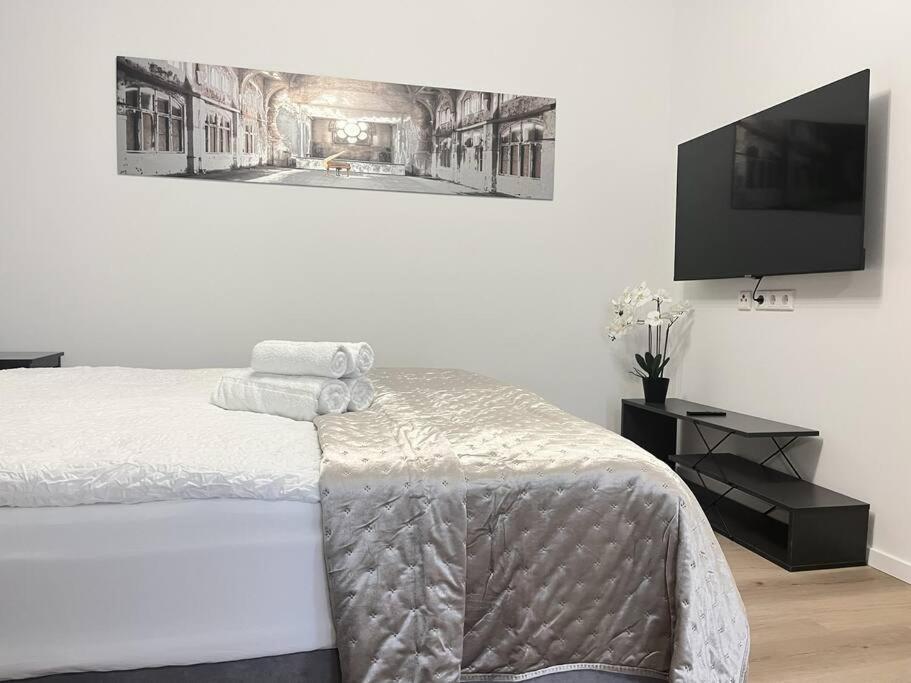 Staywell For 4 In The City I Parking I Wifi I Netflix Paderborn Kültér fotó